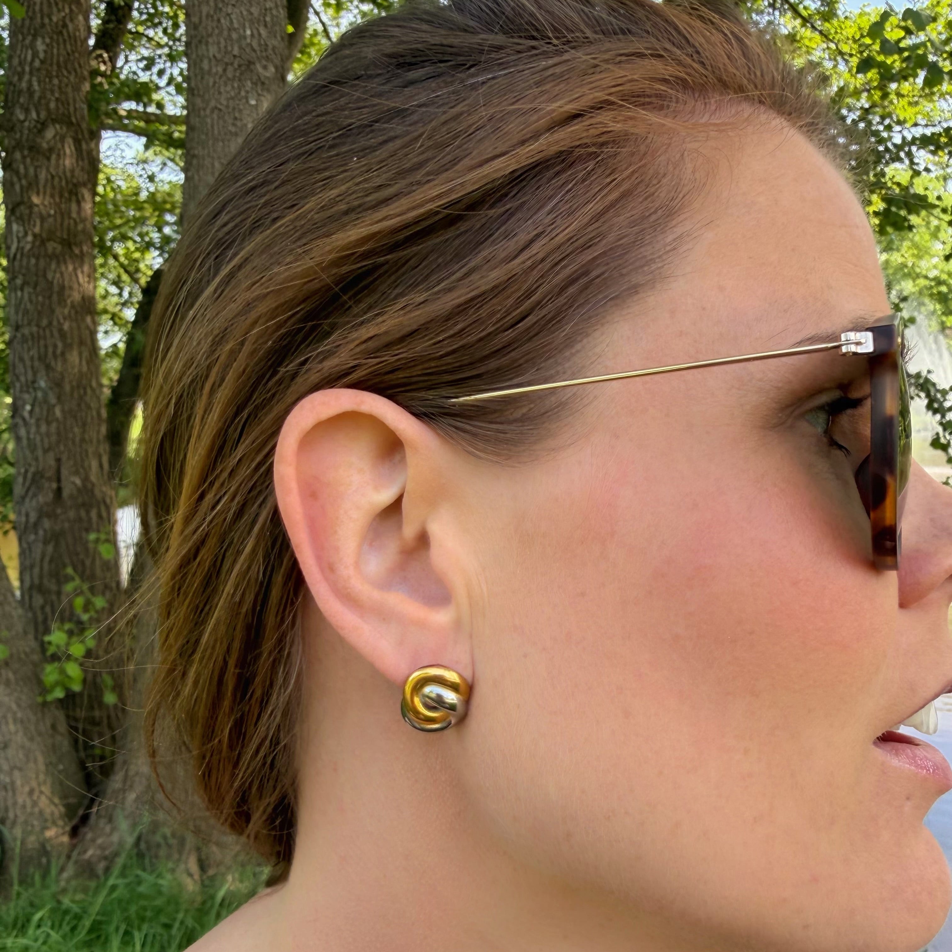 Bicolor Hoop Earrings
