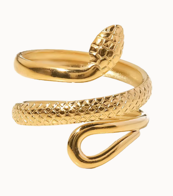 Sleek Serpent Ring