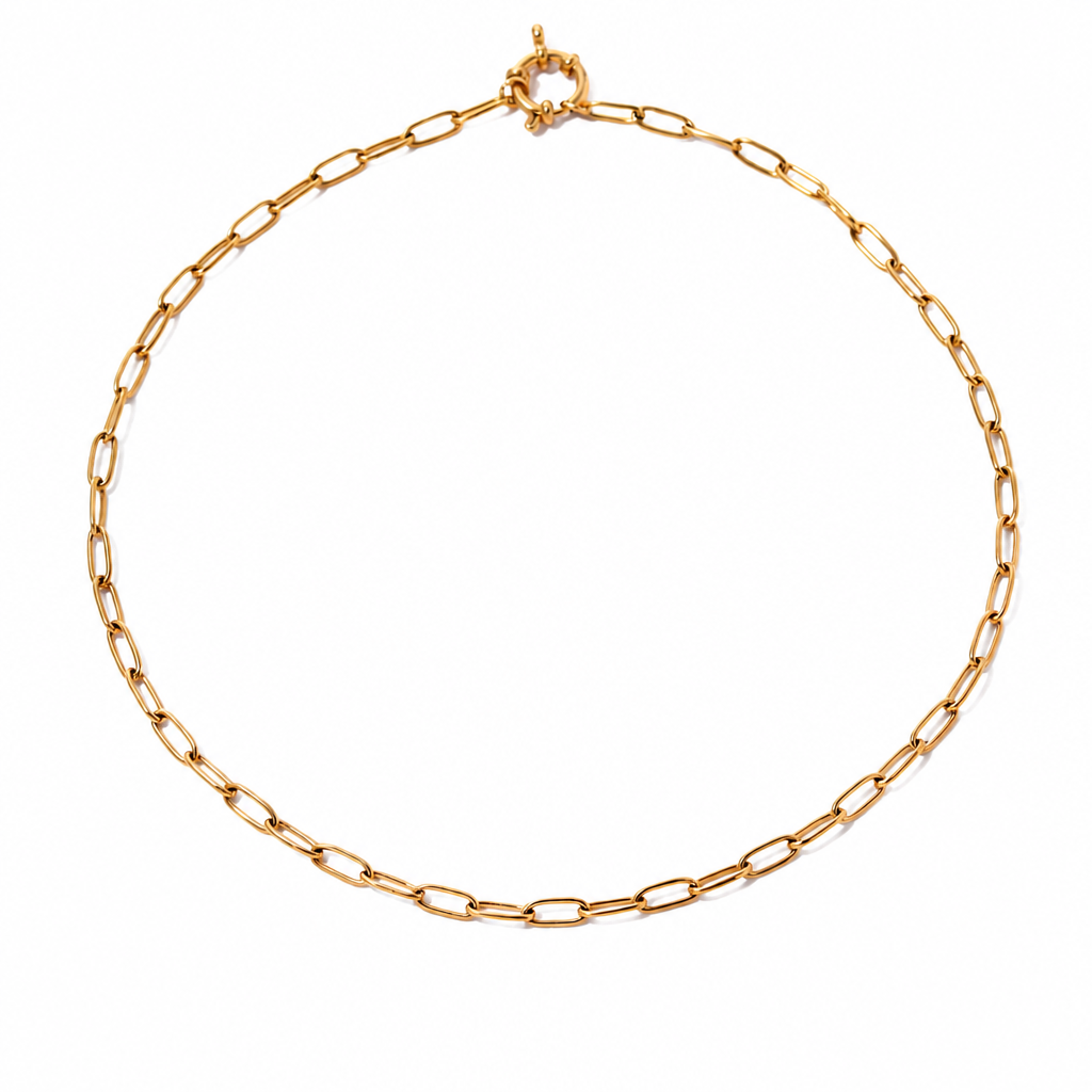 Wide Chain Necklace